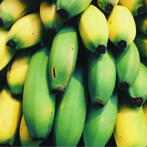 Fresh Cavendish Bananas (Priced Per LB)