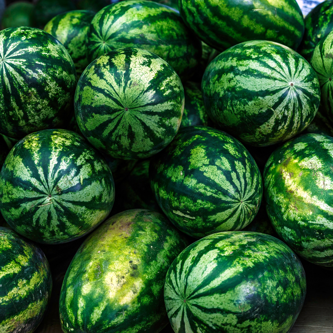 Frozen Watermelon Pulp